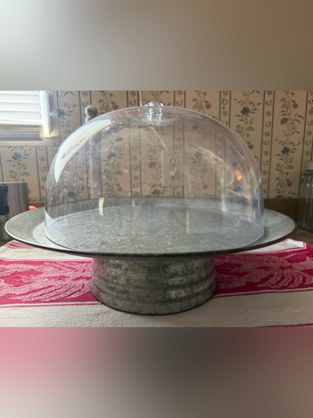Galvanized Metal Cake Stand with Clear Dome